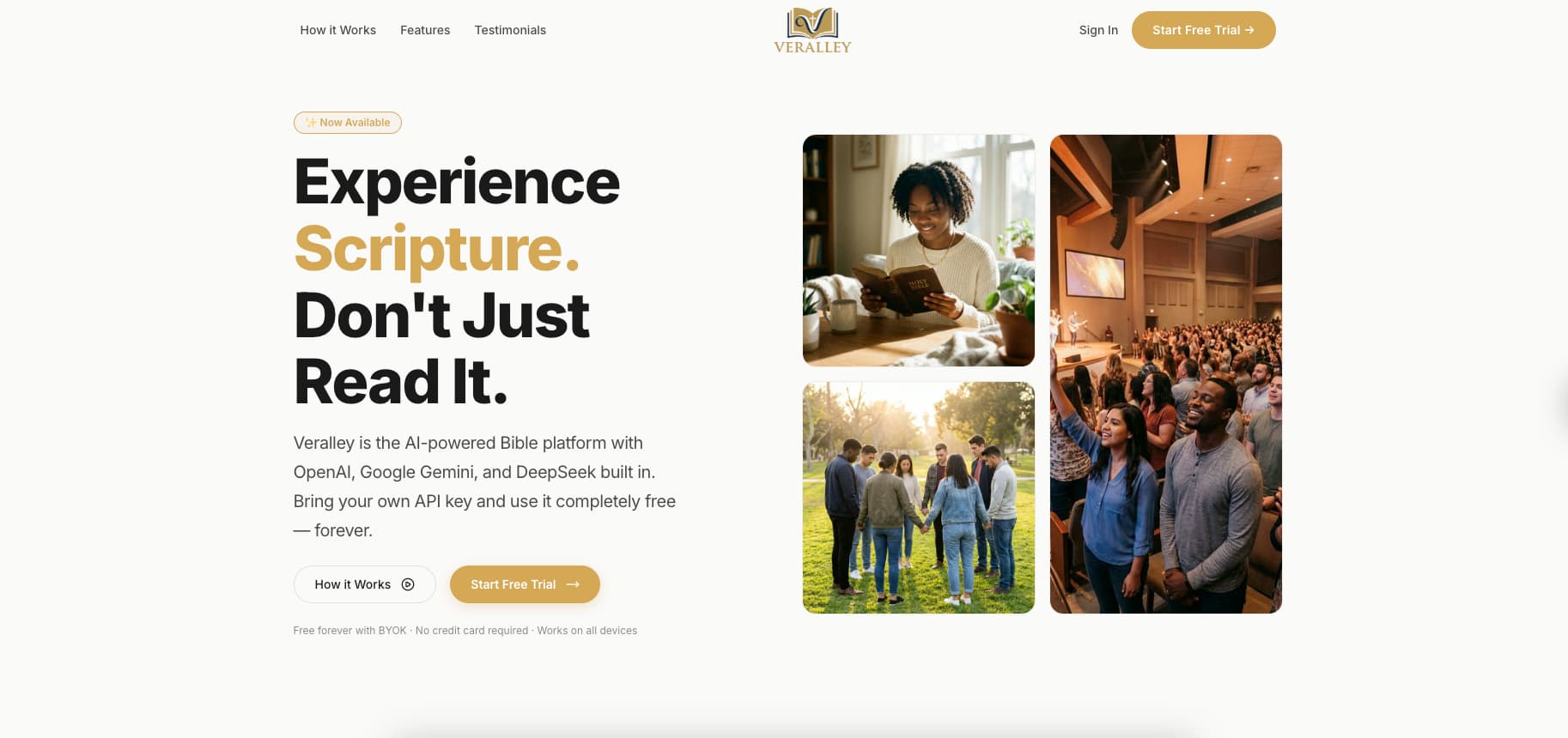 Veralley website presentation from the delivered project.
