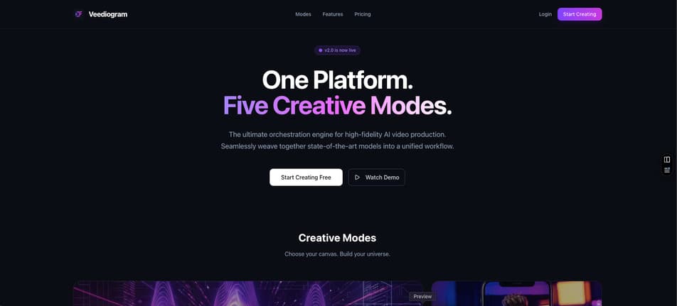 Veediogram website presentation from the delivered project.